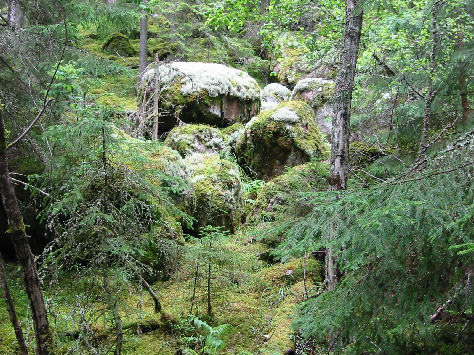 Norra Kvills Nationalpark