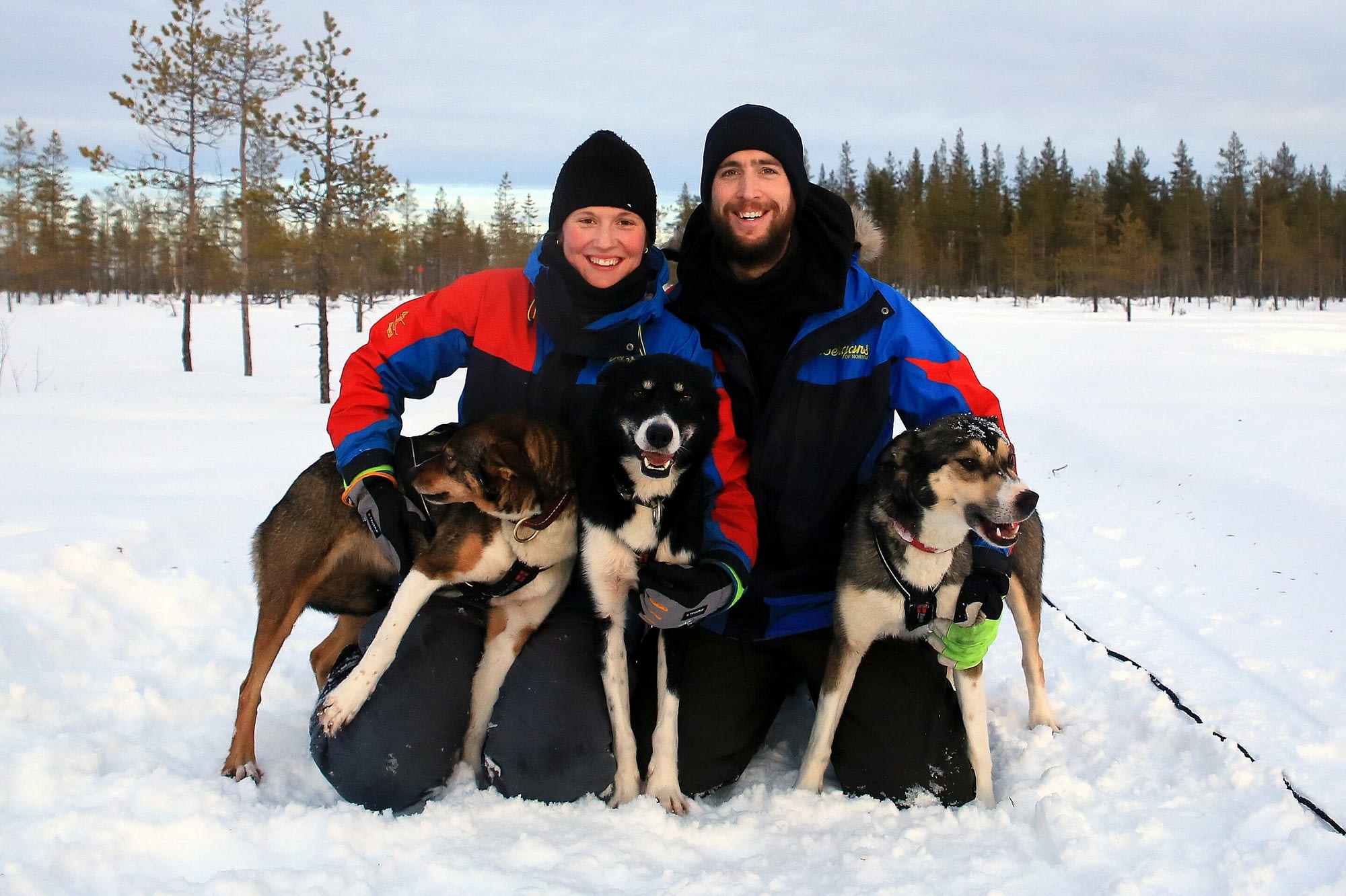 Yellow Snow Husky Tours