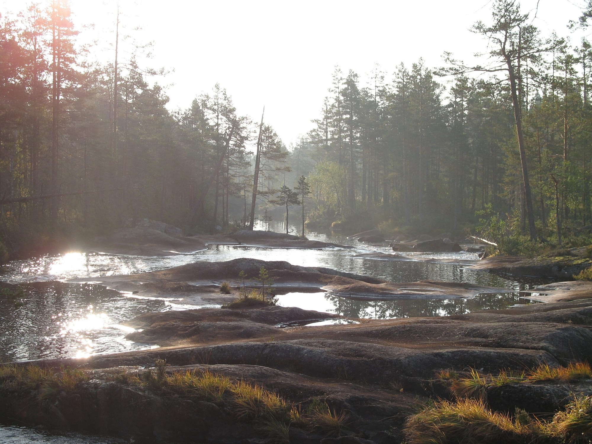 Hamra Nationalpark