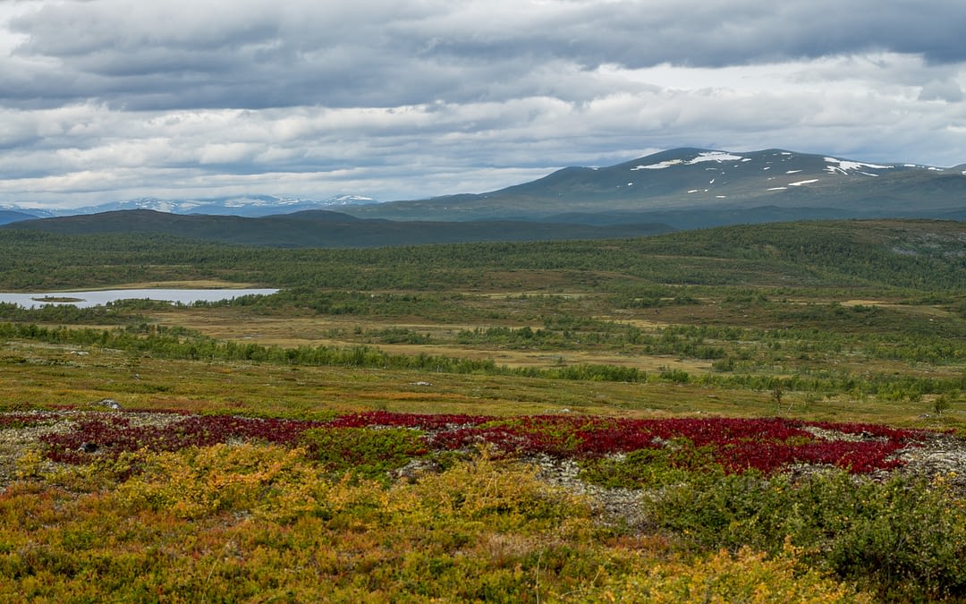 Pieljekaise Nationalpark