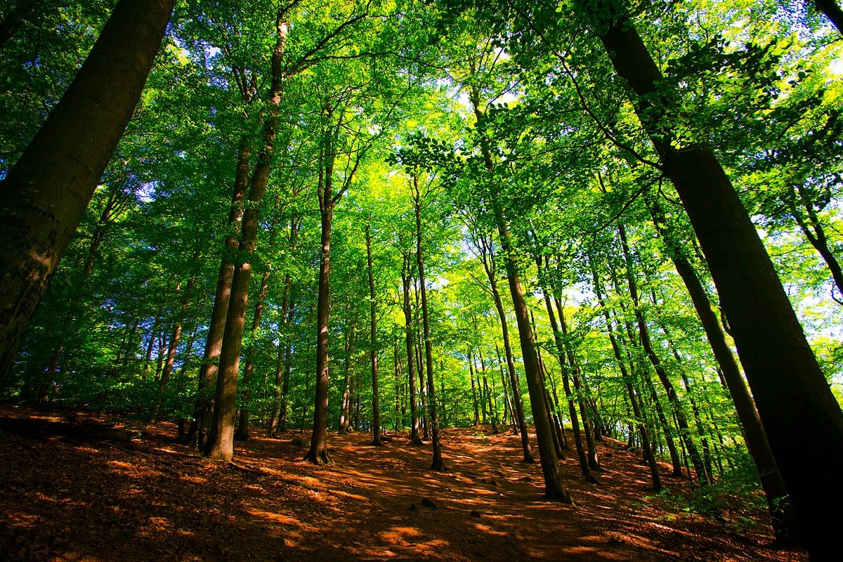 Söderåsens Nationalpark