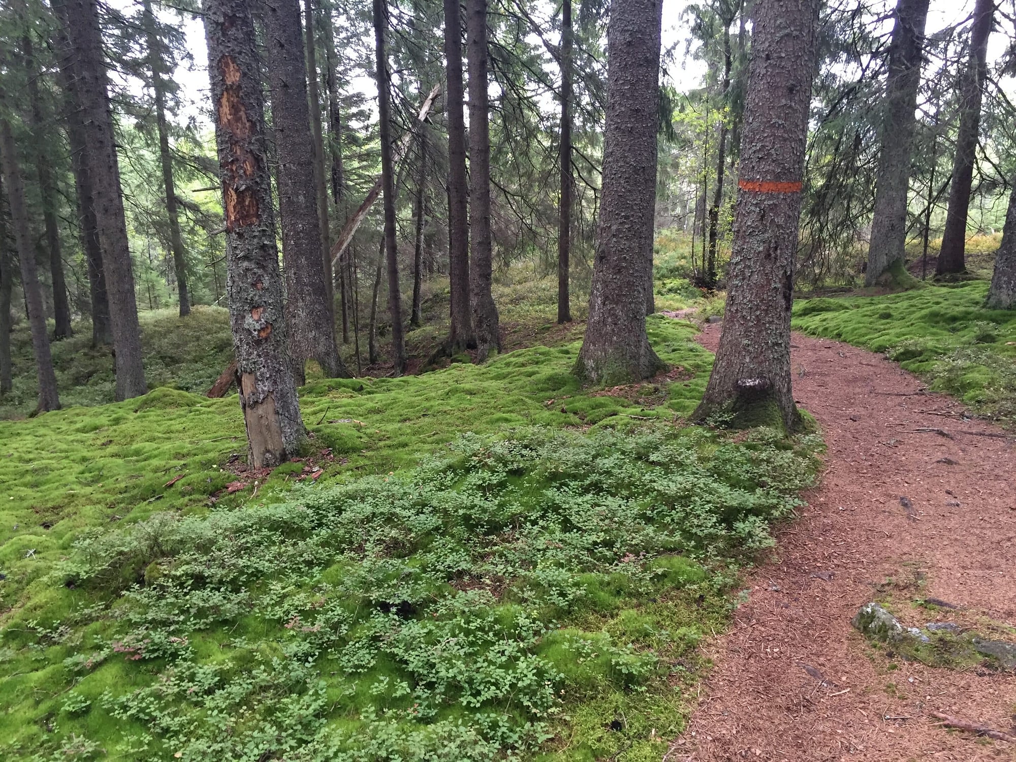 Garphyttans Nationalpark