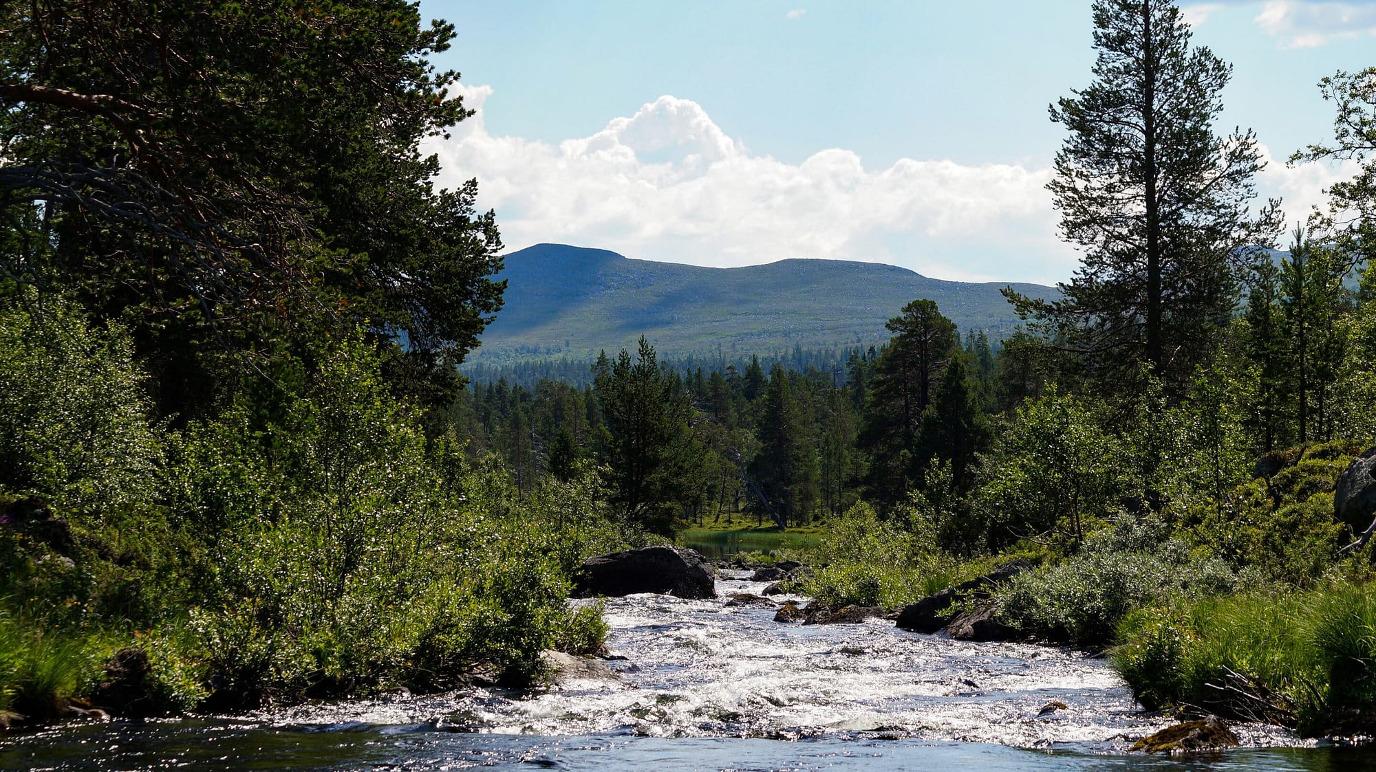 Töfsingdalens Nationalpark