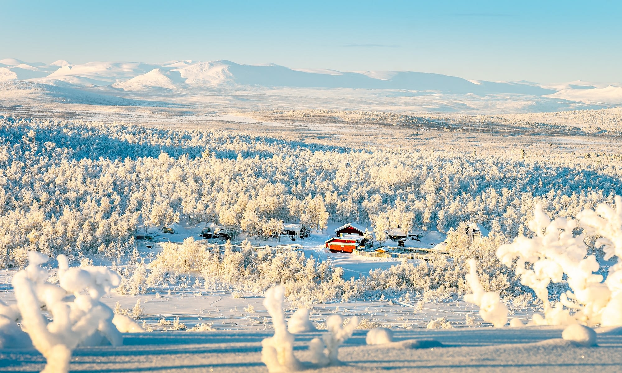 Kiruna Sleddog Tours / Husky Lodge
