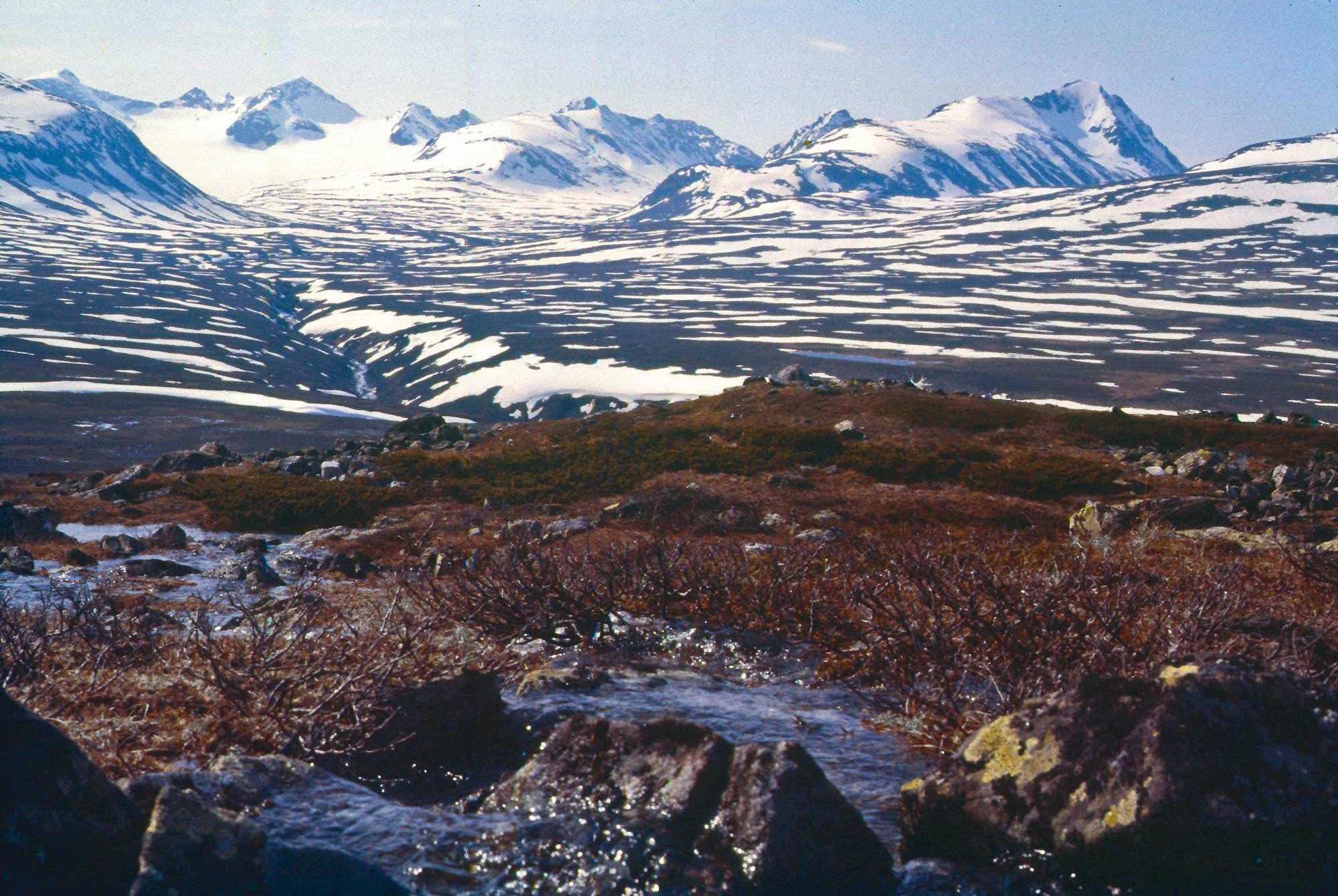 Sarek Nationalpark