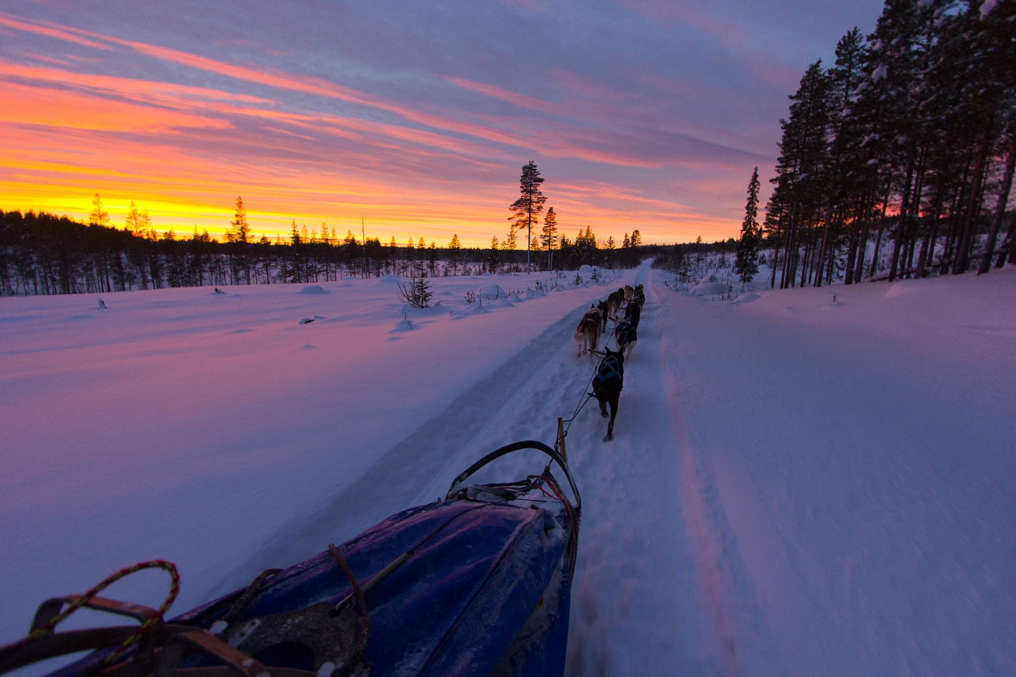 Wild Lapland