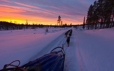 Wild Lapland