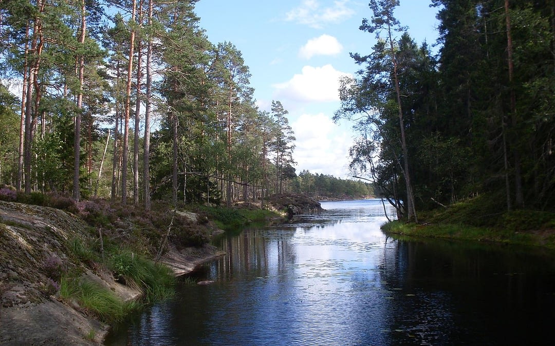 Tresticklans Nationalpark